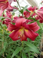 [4140 Musassi No102.JPG]